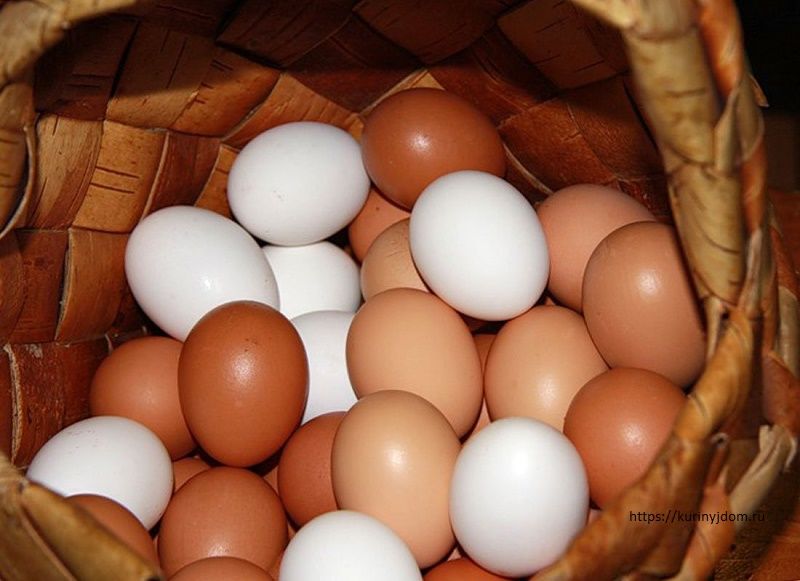 Ученые объяснили разницу между яйцами с белой и темной скорлупой.