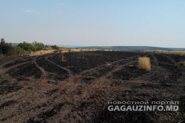 Причиной возникновения пожара на поле явилось неосторожное обращение с огнем.