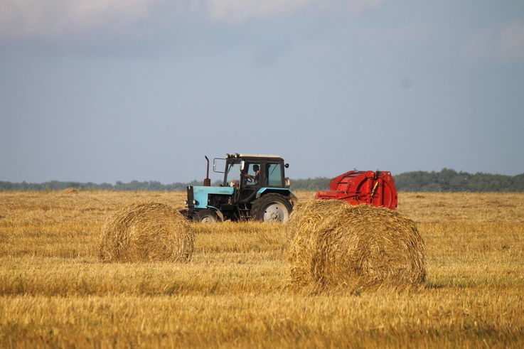 В 2020 году в Молдове урожай зерновых сократится в два раза