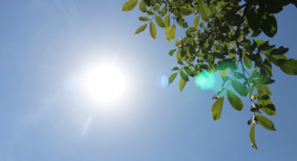 Meteorologii anunţă vreme deosebit de caldă pentru acest weekend.