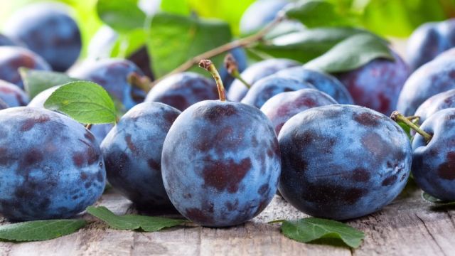 Rusia a interzis importul a 19 tone de prune din R. Moldova
