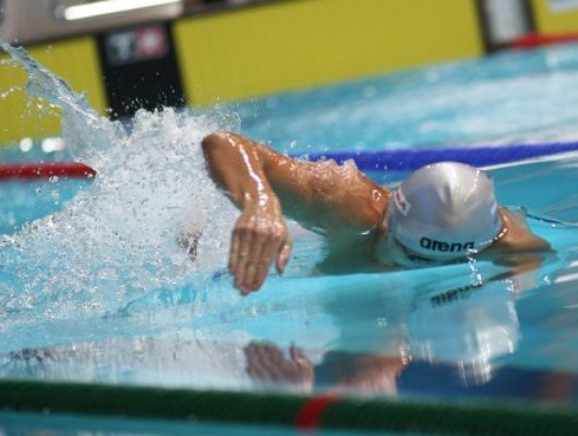 Соревнования являются отборочным этапом к Чемпионату мира по плаванию.