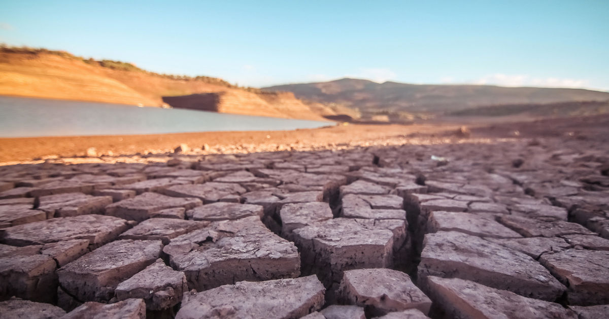 Исследование: Опасные засухи, вызванные жарой, стремительно учащаются.