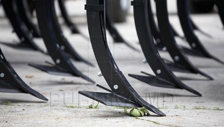 Fermierii din sudul ţării se plâng că nu-şi pot ara terenurile. Foto: publika.md