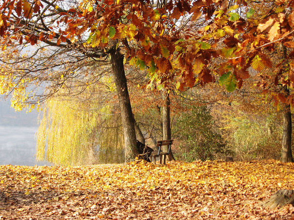 Prognozele meteorologilor pentru această săptămână. Foto: alba24.ro