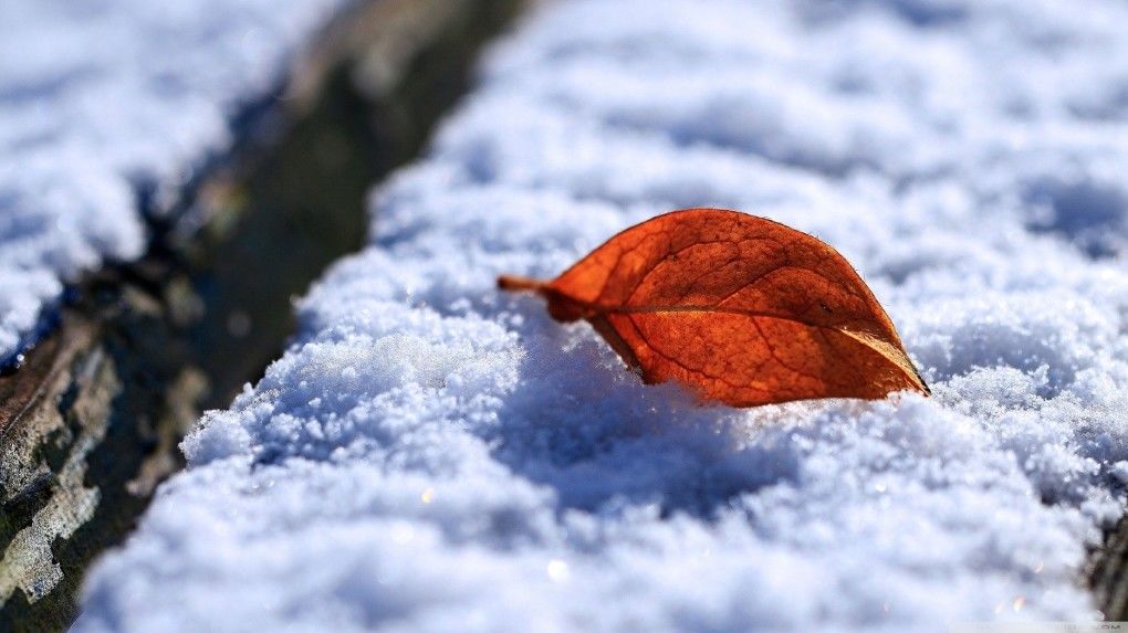 Astăzi, 10 decembrie, aceasta vor urca doar până la +5 grade Celsius.