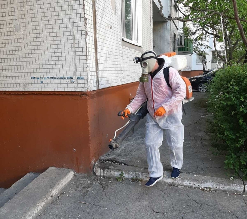 В подвалах многоквартирных домов в столице проводятся мероприятия по уничтожению насекомых и грызунов.