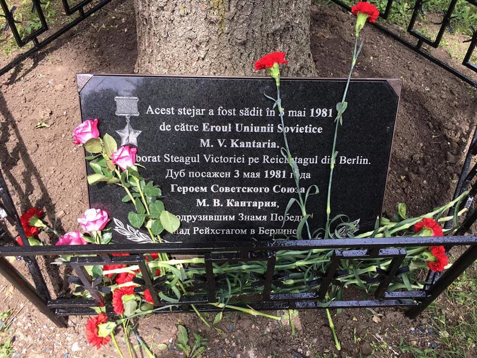 В центральном парке столицы обновили табличку у дуба, посаженного героем войны.