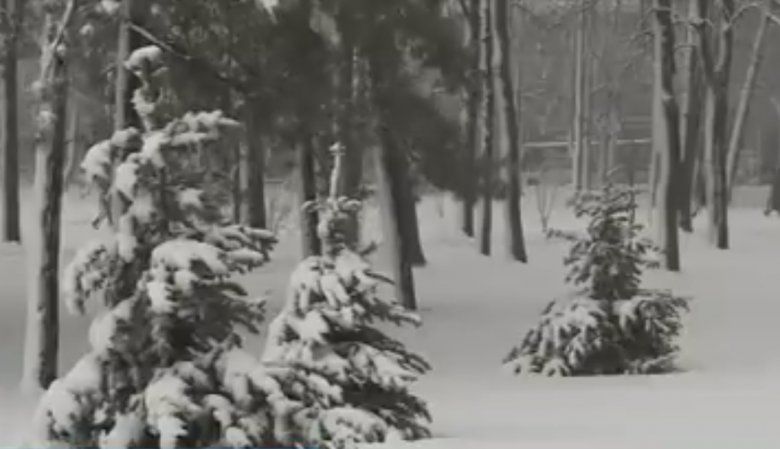 Cât e de gustoasă zăpada: Răspunsul Serviciului Hidrometeorologic