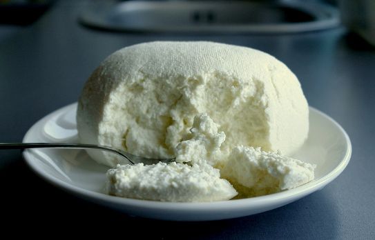 Brânzici cu mucegai, comercializate de un agent economic. Foto: salata.crpp.ro