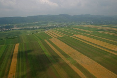Deputatul PLDM, Simion Grișciuc are în proprietate 18 ha de teren agricol în c. Onești, acesta fiind achiziționat în 2007.