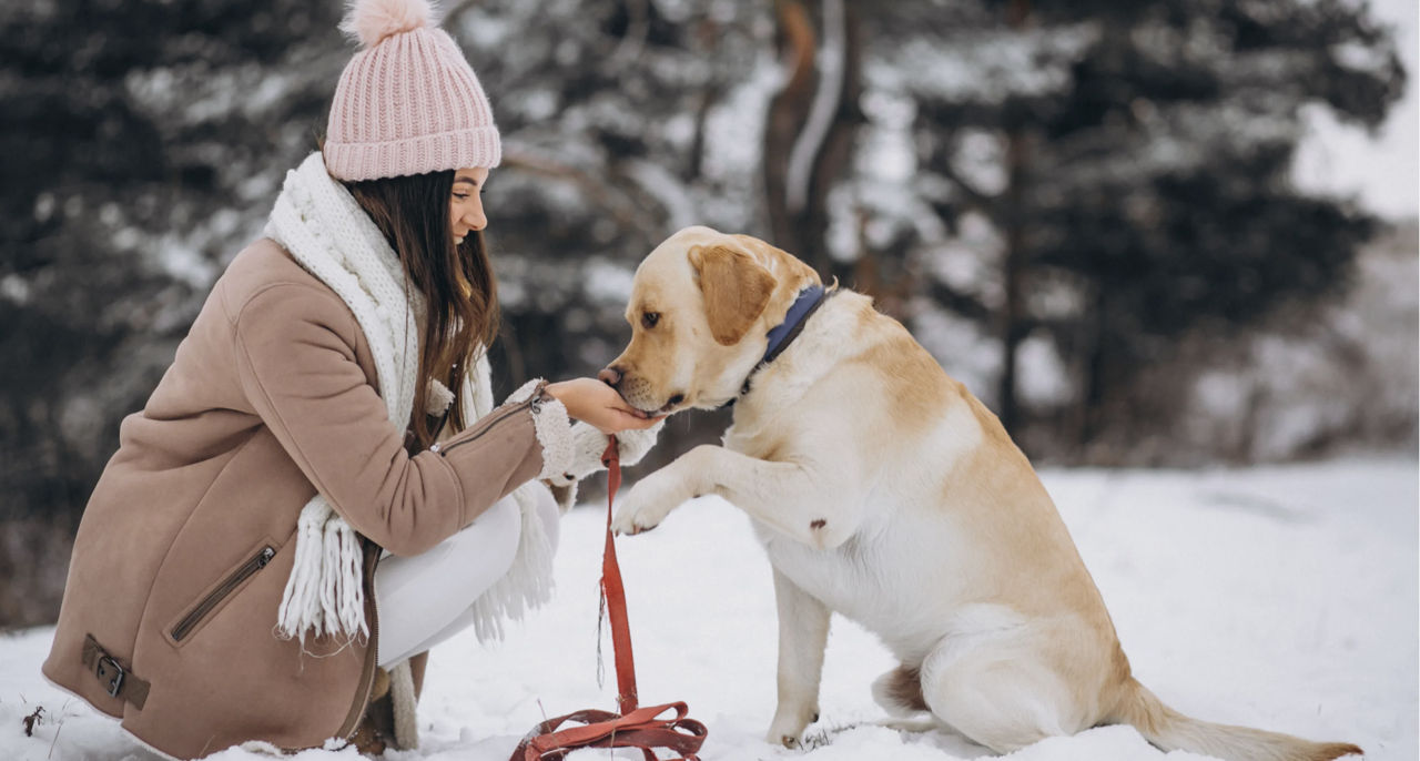 ANSA avertizează că frigul sever poate pune în pericol animalele domestice.