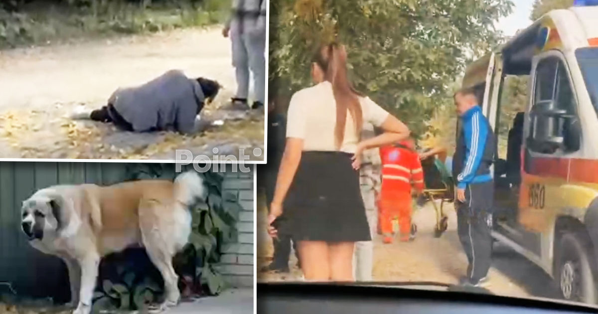 В Бельцах алабай напал на женщину: пострадавшую доставили в больницу.