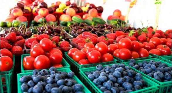 Roselhoznadzor este gata să reia importul de fructe şi legume moldoveneşti pe piața rusă. Foto: independent.md