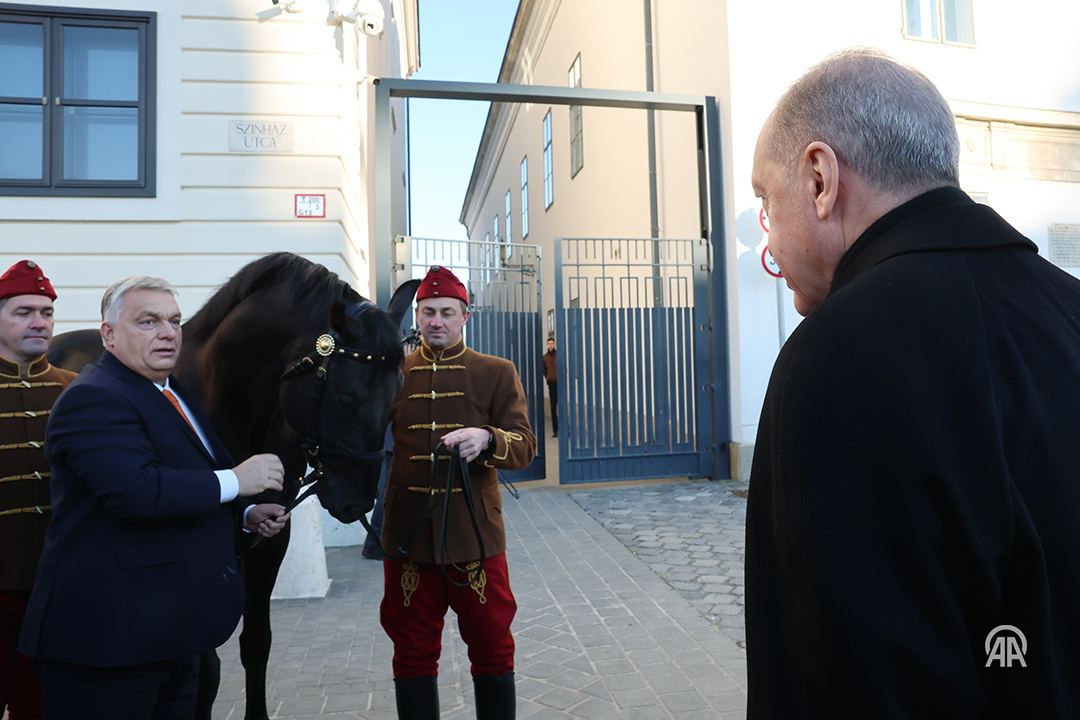 Орбан подарил Эрдогану коня по кличке Аристократ.