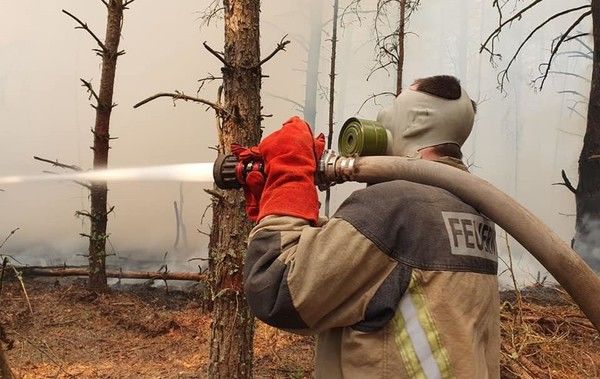 Пожары в зоне отчуждения Чернобыльской АЭС уничтожили 5% заповедника.