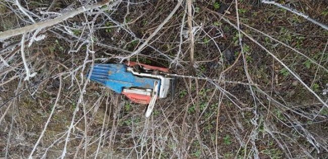 В Дондюшанском районе инспекторы обнаружили 400 пней.