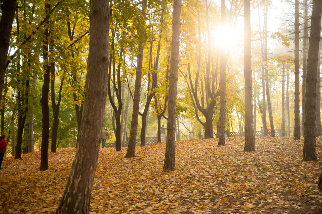 Vremea se încălzește în weekend: Temperaturile vor ajunge la +15°C. Foto: Point.md