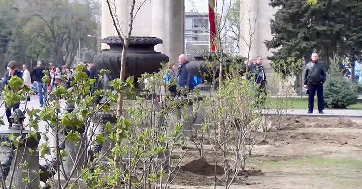 Примэрия разрабатывают комплексную программу по озеленению столицы.