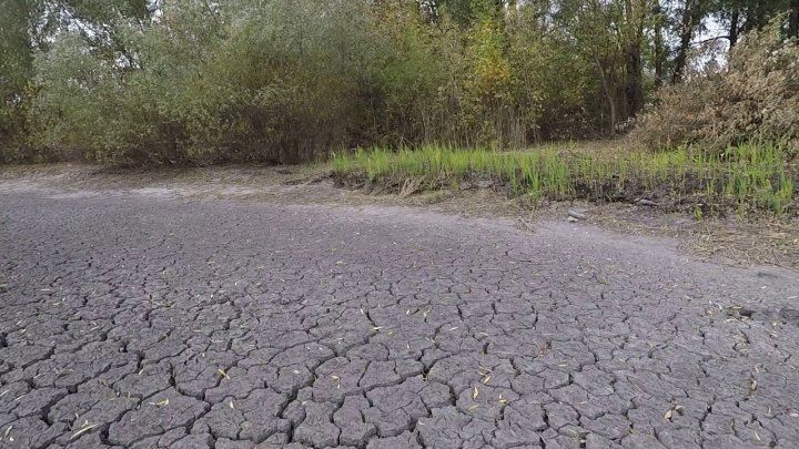 Засуха не отступает: жителей Молдовы просят экономить воду.