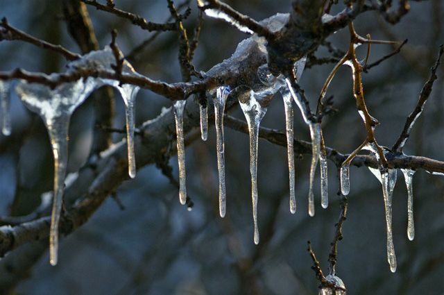 Serviciul Hidrometeorologic de Stat a instituit Cod Galben de îngheţ, în toată ţara. Foto: aif.ru