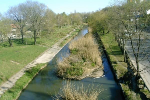 Загрязненная и безжизненная вода – итоги экспедиции на реку Бык.