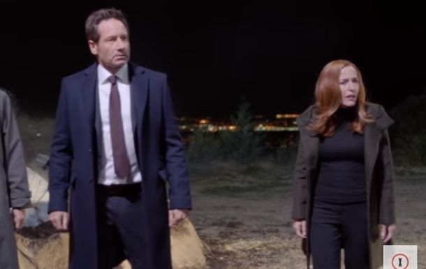 Главные роли в сериале по-прежнему исполняют Джиллиан Андерсон и Дэвид Духовны.