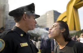 Persoanele de peste 21 de ani pot deține legal marijuana 28 de grame de marijuana și să cultive până la șase plante de canabis. Foto: telegraph.co.uk