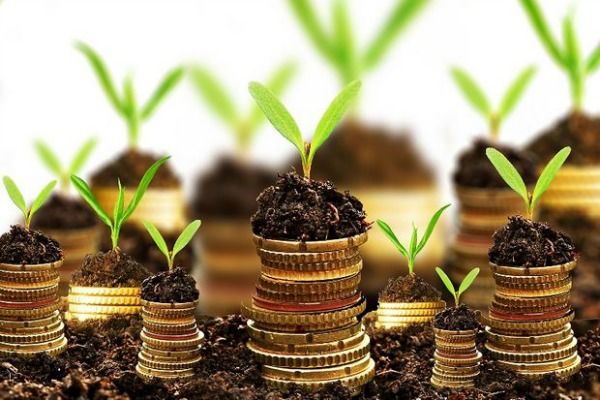 Agricultorii şi-au vândut cu 3% mai ieftin produsele, în primele nouă luni.