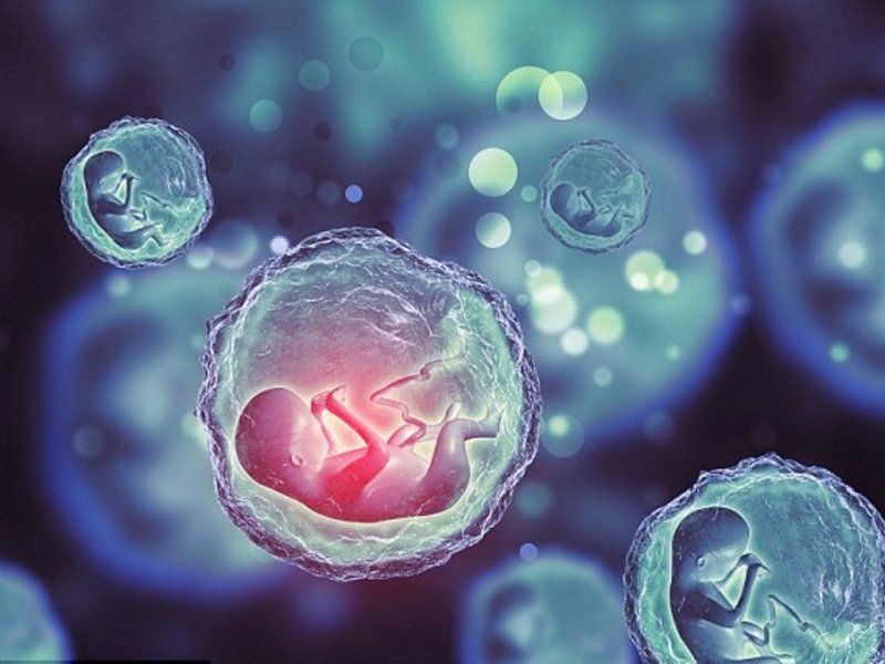 Исследование: отбирать эмбрионы по росту и IQ бессмысленно.