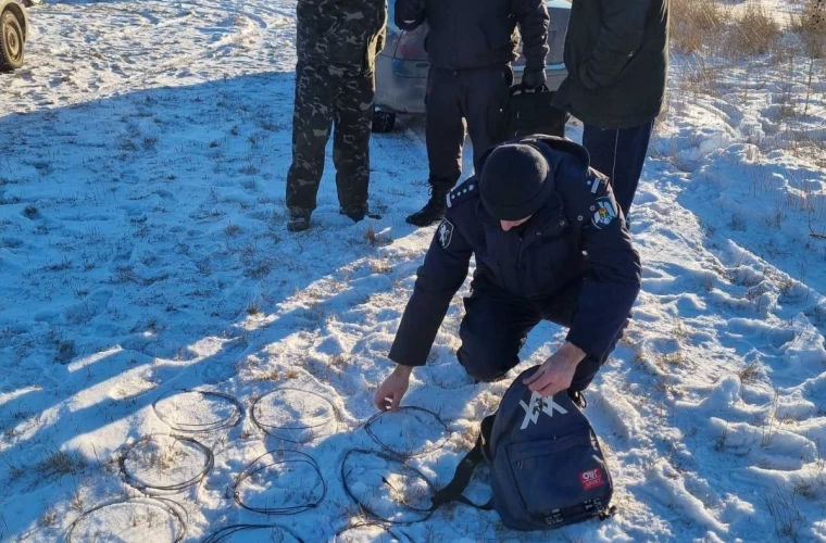 В Дондюшанском районе выявили случаи незаконной вырубки и браконьерства.