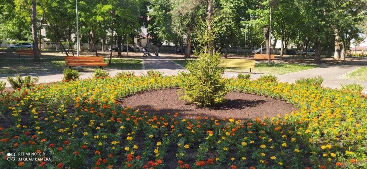 В парке на Старой Почте продолжаются восстановительные работы.
