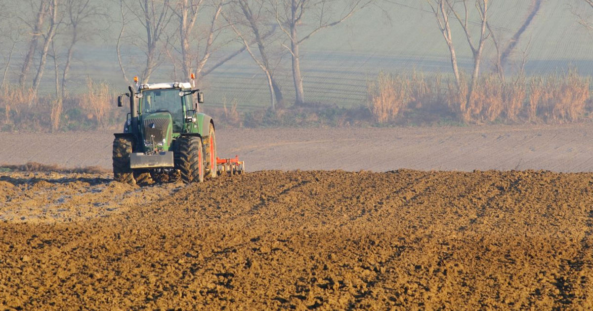 Guvernul a aprobat modificările la legea privind sprijinul fermierilor în legătură cu seceta din 2024.