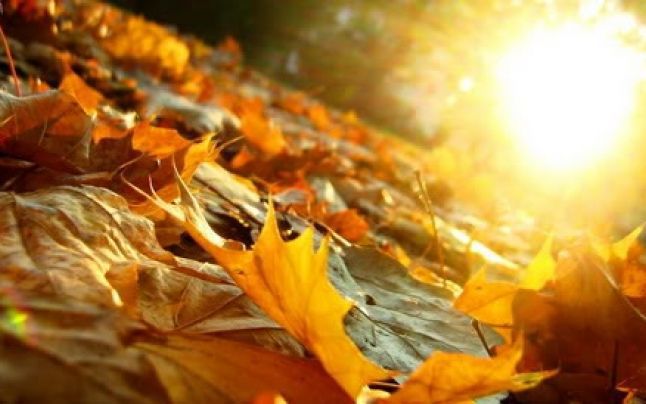 Weekendul ne mai răsfață cu temperaturi generoase. Foto: adevarul.ro