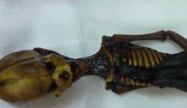 Elucidarea misterului celebrei mumii Ata a generat controverse.