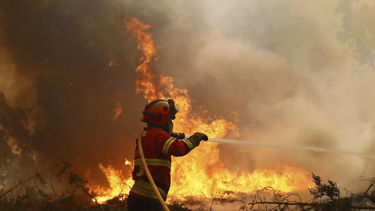 Portugalia luptă cu incendiile forestiere.