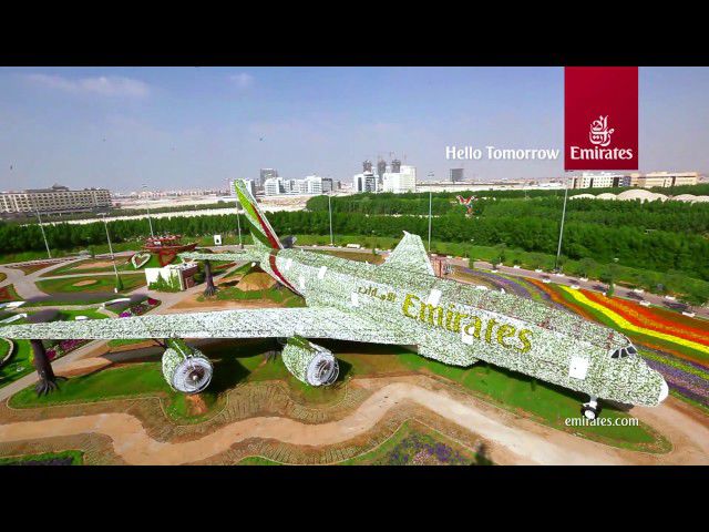 Авиакомпания Emirates создала из живых цветов копию самого большого пассажирского лайнера в мире.