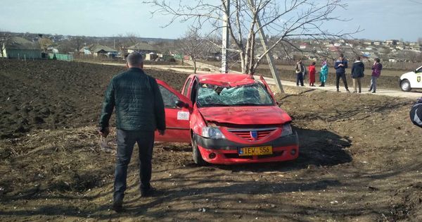 В Фалештах такси врезалось в дерево, водитель погиб.