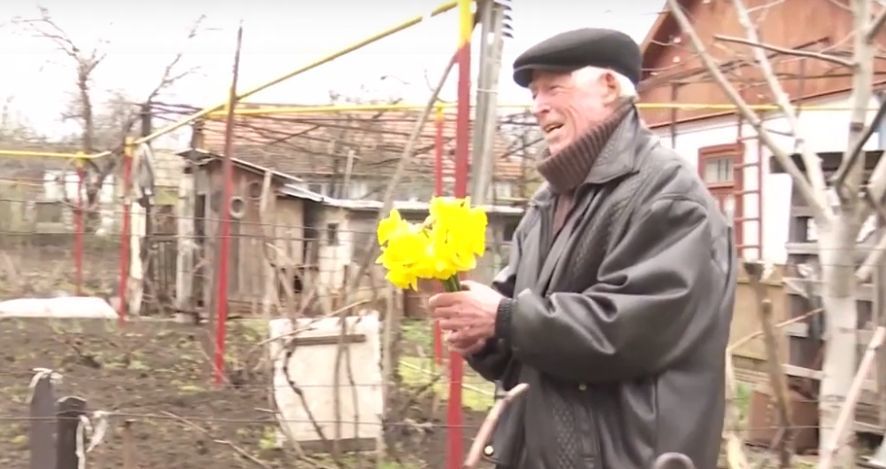Семья из Сынжеры продает нарциссы, чтобы заработать на жизнь.