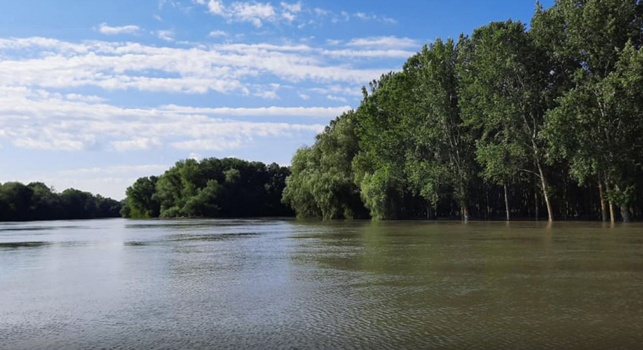 Уровень воды в реке Днестр повышается.