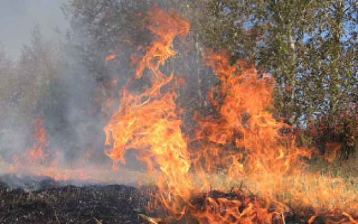 Codul galben de pericol excepțional de incendii pentru localitățile din sudul și centrul țării a fost prelungit.