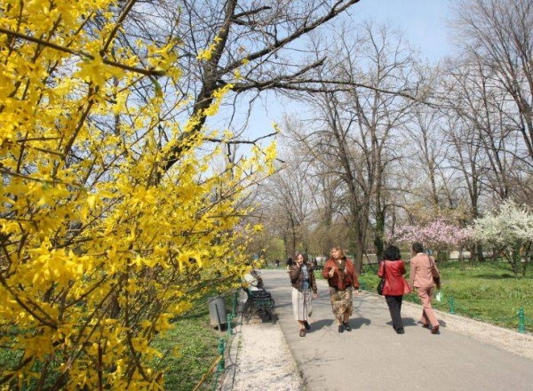 Primavara isi intra in drepturi. Meteorologii ne promit vreme frumoasa si temperaturi inalte pentru urmatoarele zile.