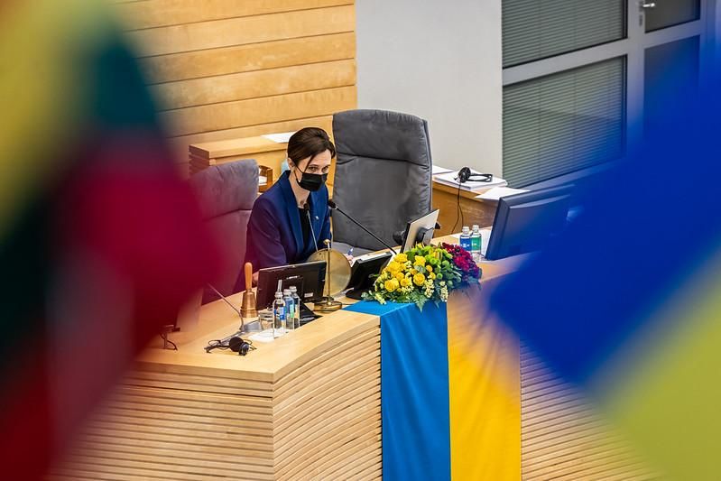Литовский Сейм просит ООН обеспечить беспилотную зону над Украиной.