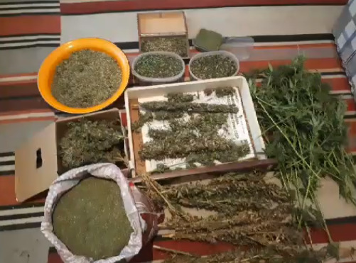 Правоохранители изъяли марихуану на полмиллиона леев.