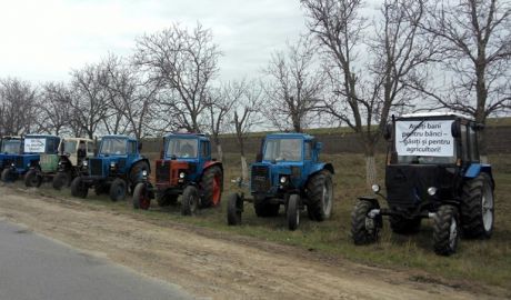 Totodată, agricultorii cer suplinirea fondului de subvenţionare de la 610 de milioane de lei până la 1 miliard de lei şi creditarea la dobânzi mici.