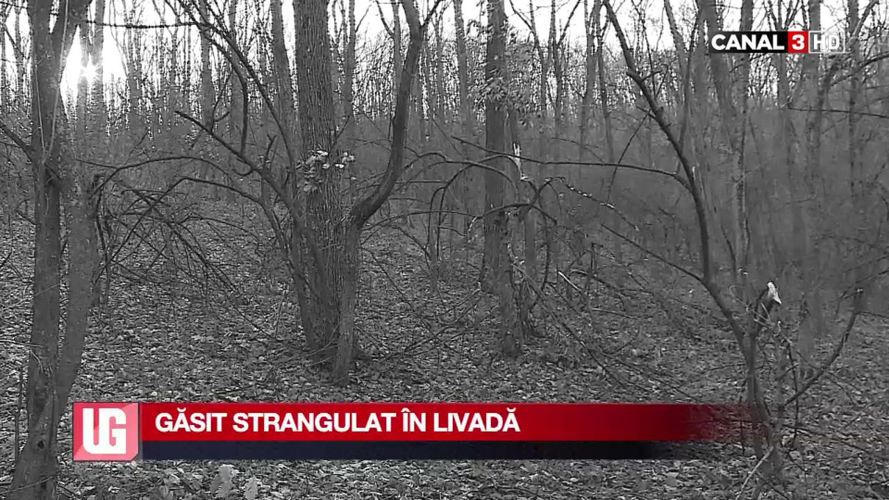 Macabru: Un bărbat, găsit strangulat într-o livadă din Rîşcani