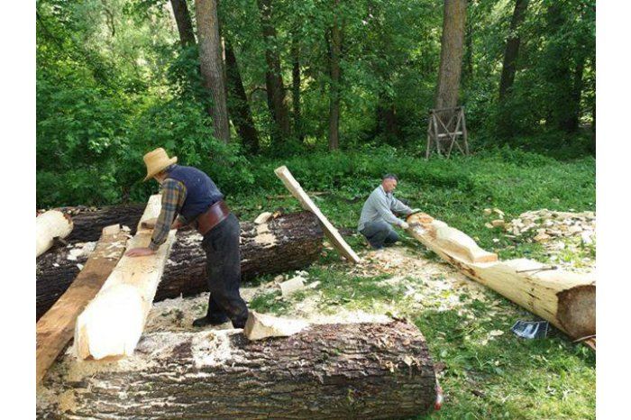 В заповеднике “Plaiul Fagului” проходит фестиваль лесного туризма.