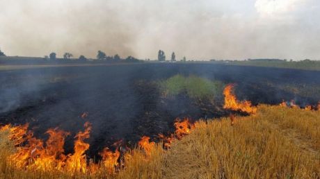 Meteorologii au emis Cod Galben de incendii de vegetație. Foto: poză simbol