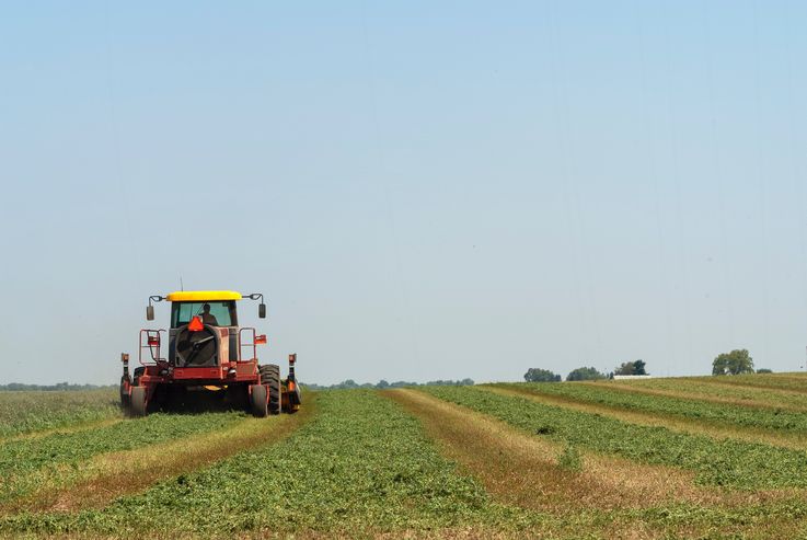 35% din totalul subvențiilor a fost pentru procurarea utilajului agricol