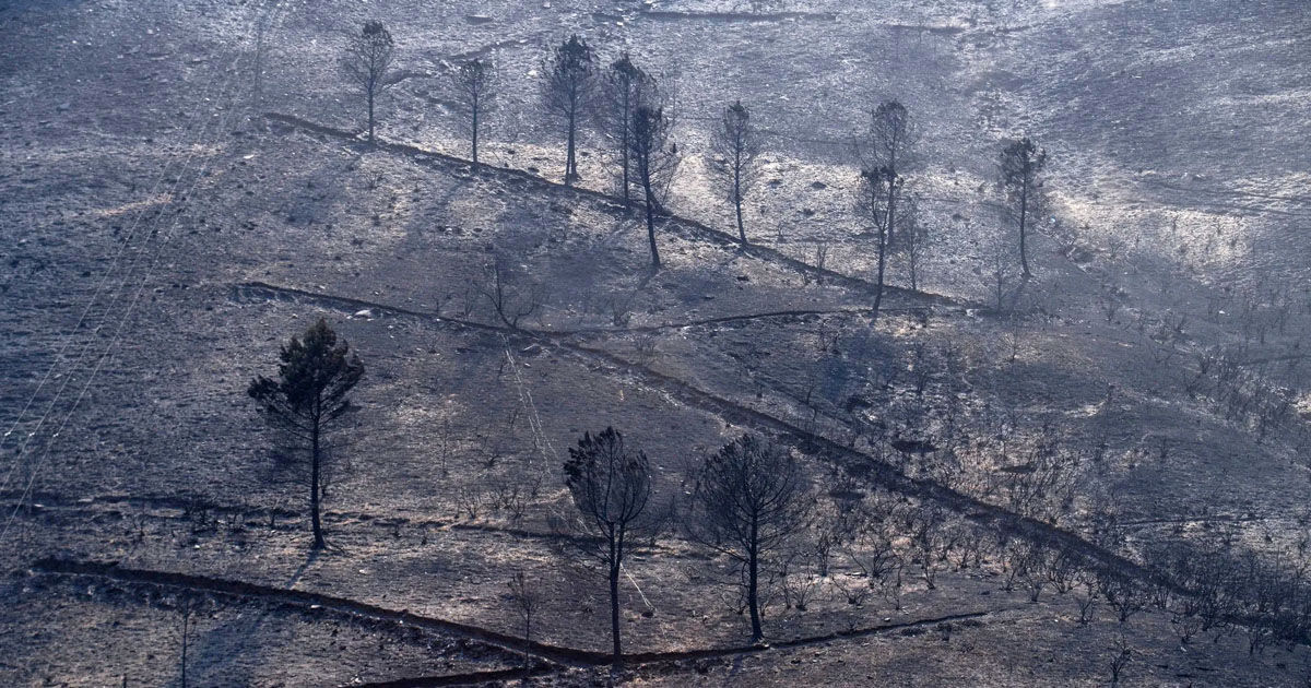  Portugalia numără pierderile cauzate de cel mai mare incendiu forestier din istoria țării.